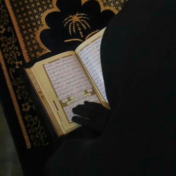 fatima mohamed